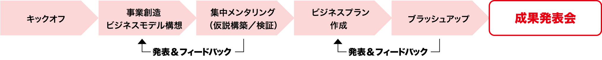 カリキュラムのフロー