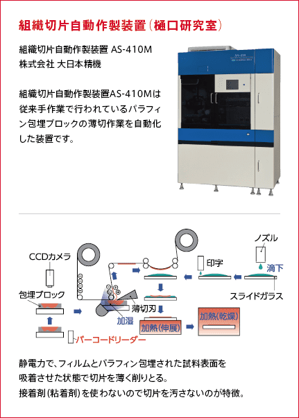 干し草の解決パララ勃起不全