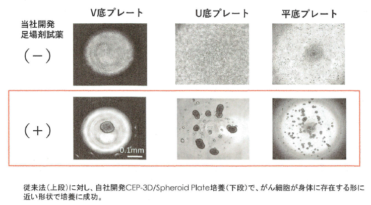 図3：従来法と当社３次元培養の比較