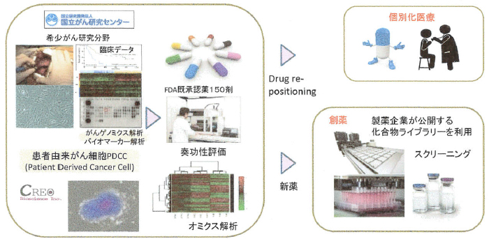 図4：希少がん治療分野の事業展開